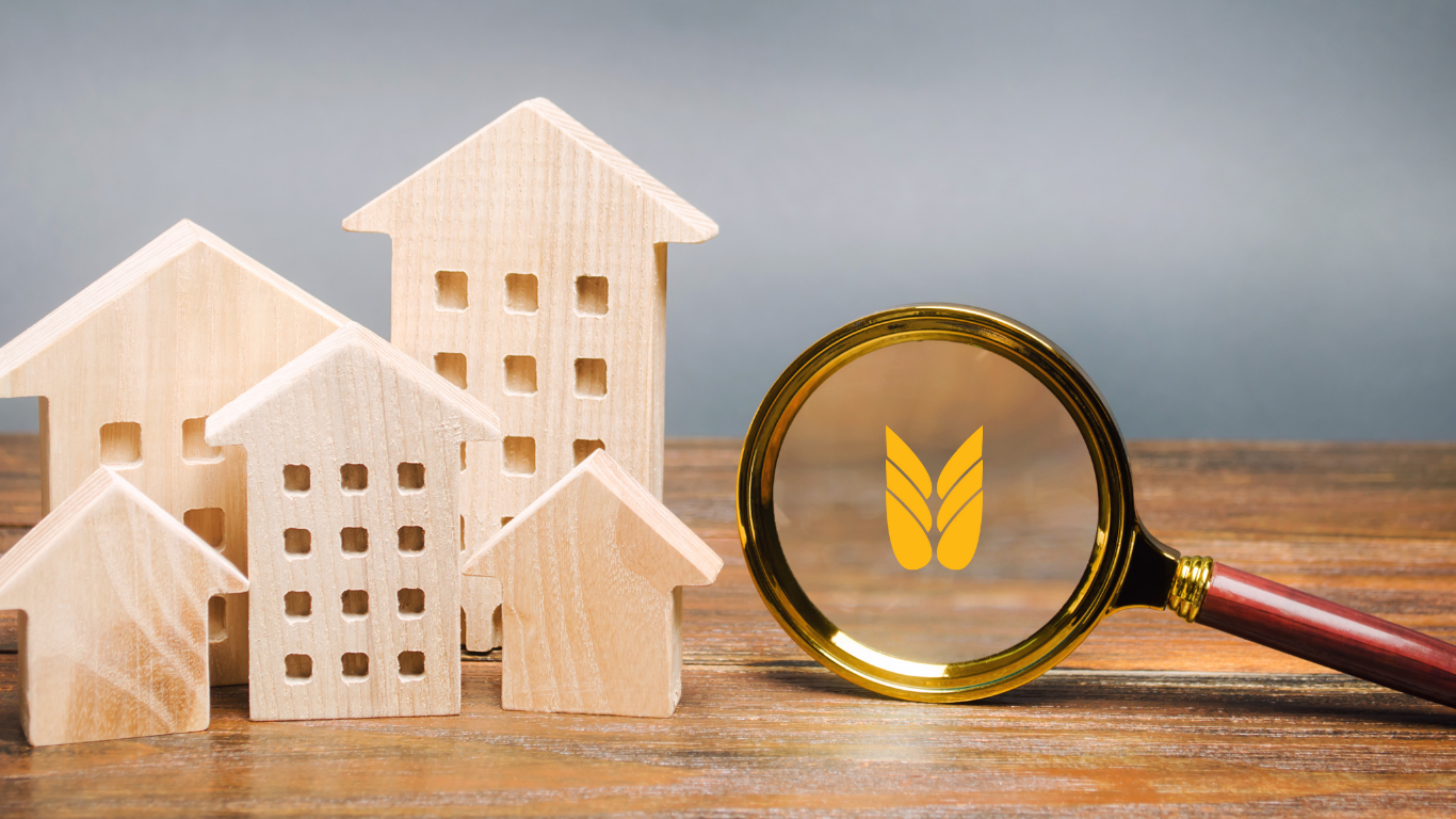 Ny ejendomskategori skal sikre fair beskatning af natur og skov