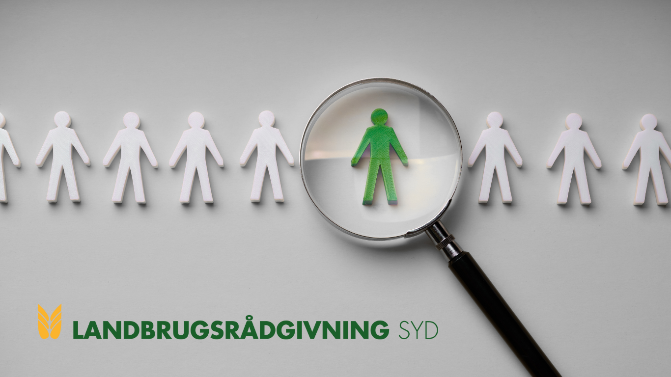 Får du udnyttet dine medarbejderes potentiale?