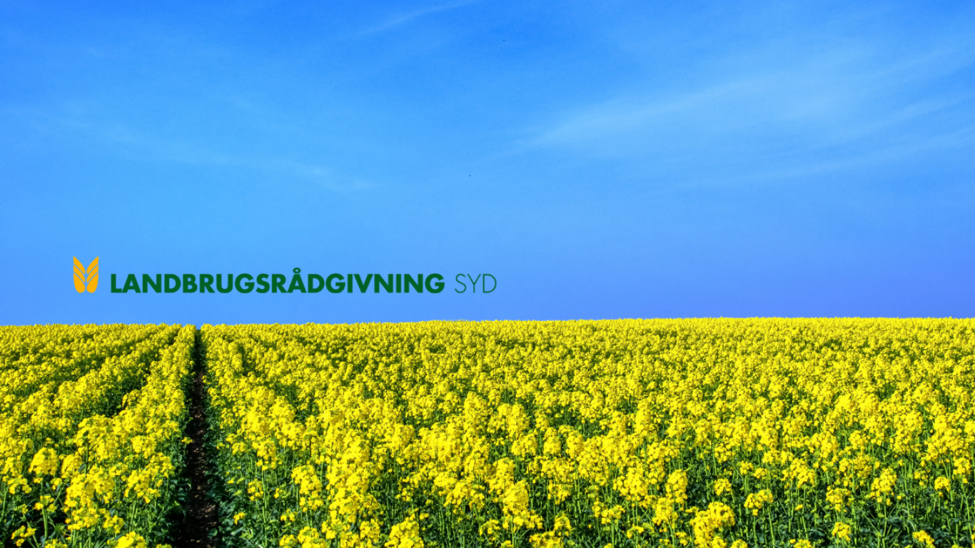 Informationsbrevet "Det gode liv på landet"